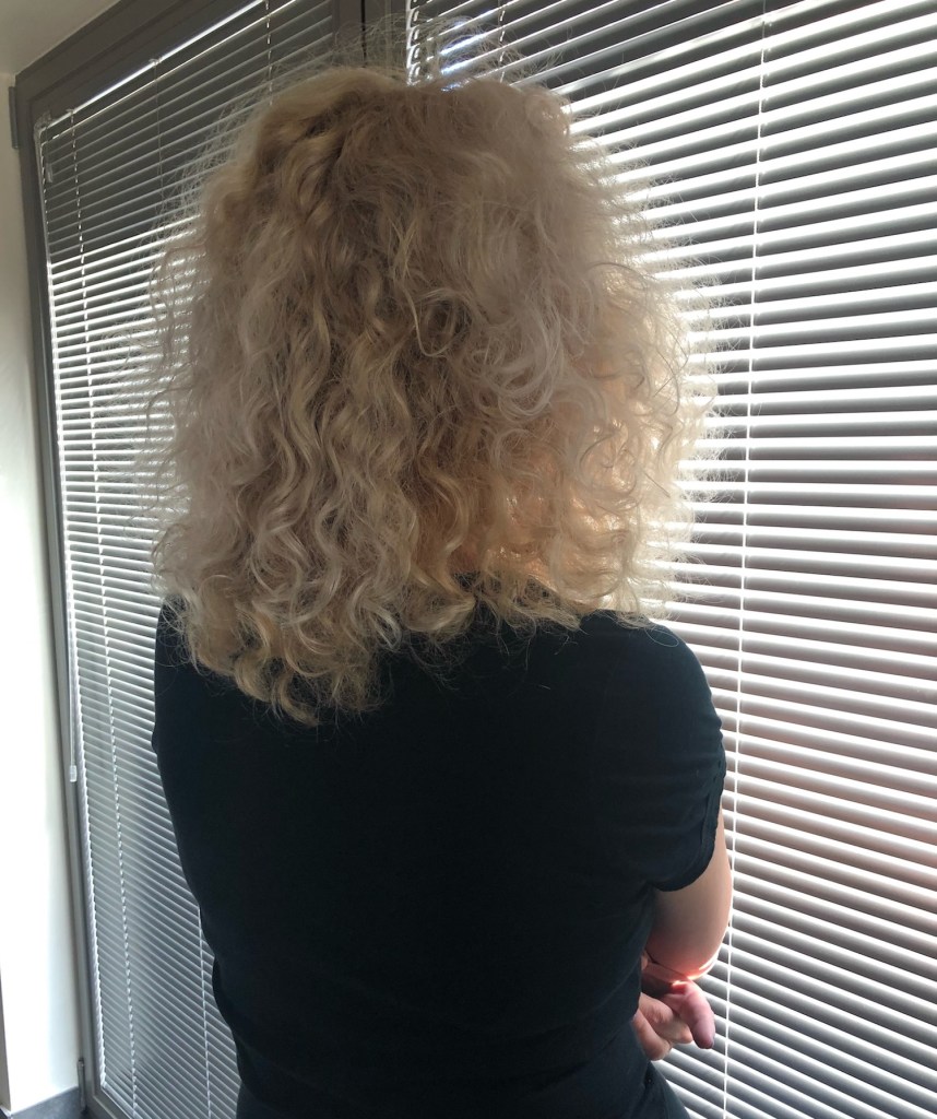 Anna van Ro - postcoronisme