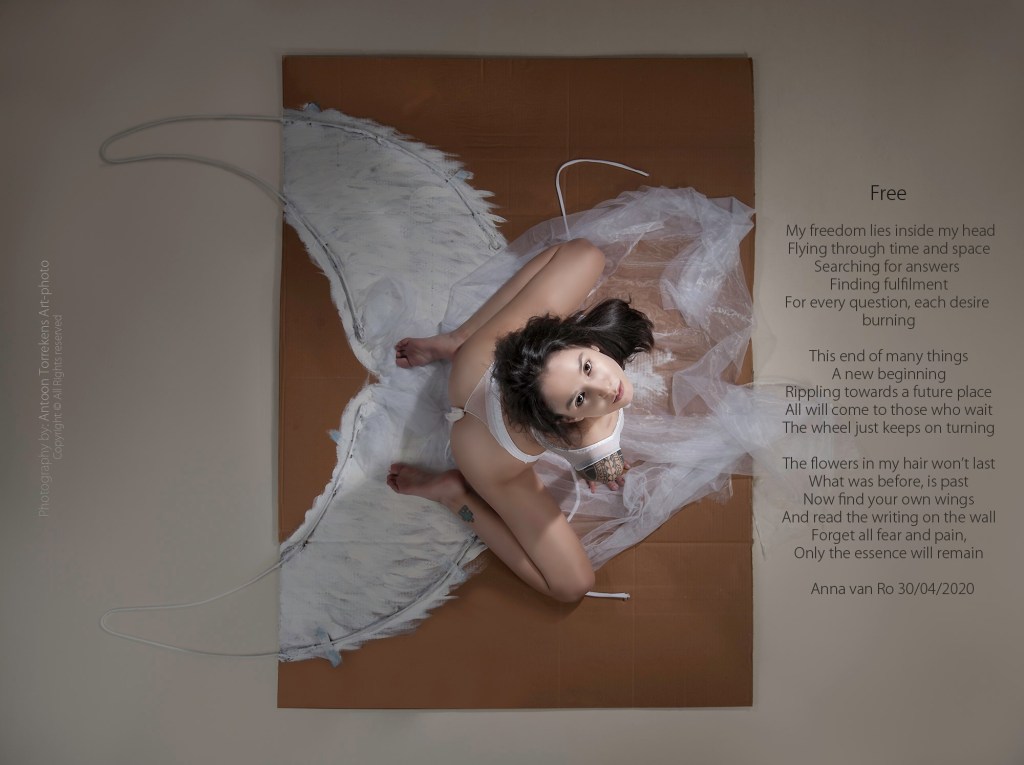 Free - Artwork by Antoon Torrekens, 
